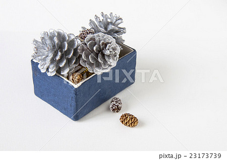 きれい 美しい 綺麗 23173739