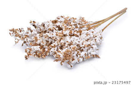 popped rice on white background popped rice on white background 23175497