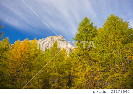 The colors of autumn in the Alps 23175646