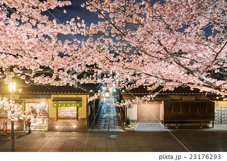 桜咲く夜の石塀小路 23176293