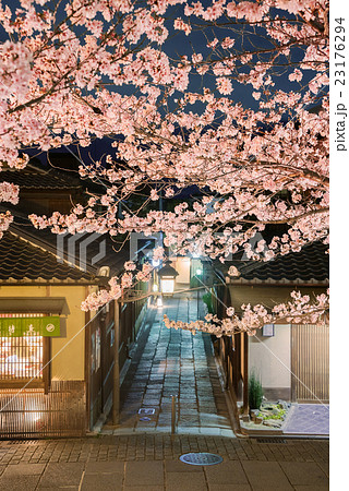 桜咲く夜の石塀小路 23176294