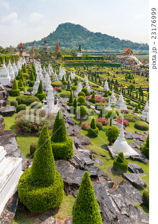 Nong Nooch Tropical Garden in Pattaya, Thailand 23176999