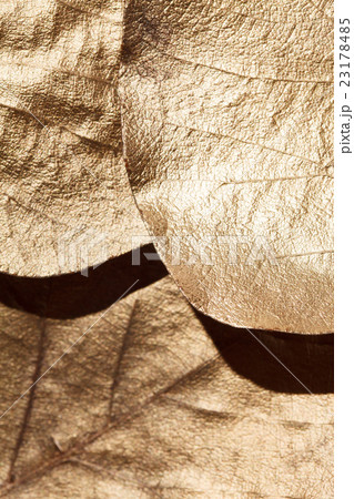Leaves texture Leaves texture 23178485