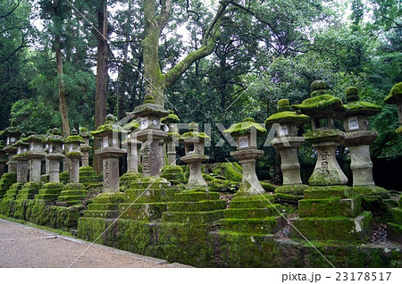 神社の灯篭 神社の灯篭 23178517
