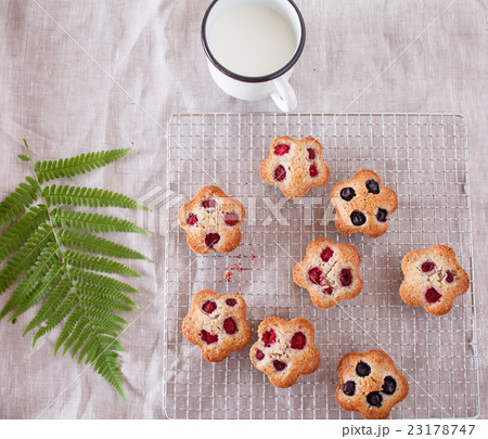 berry  financier 23178747