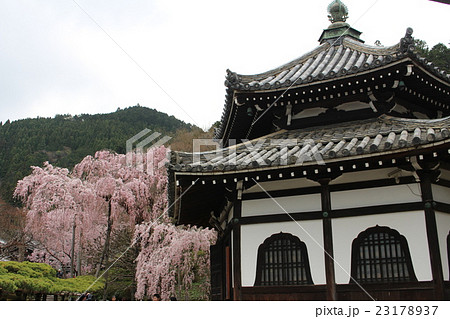 善峯寺 23178937