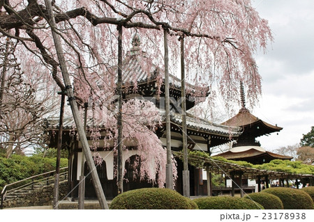 善峯寺 23178938
