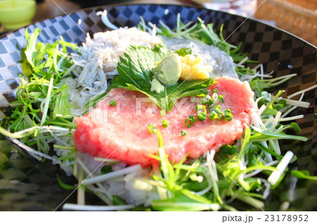 江ノ島の海鮮丼　しらすのネギトロ丼 23178952