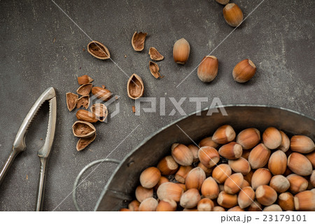 hazelnuts hazelnuts 23179101