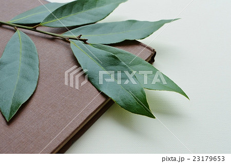 ローリエの葉と古書 23179653