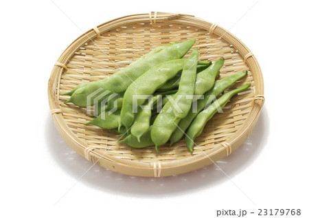 モロッコ豆 モロッコ豆 23179768