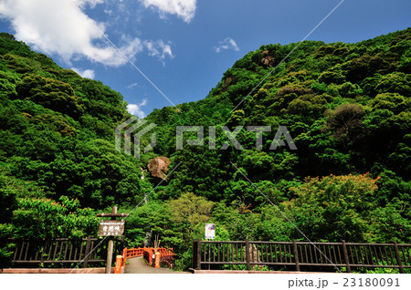 奇絶峡の新緑 23180091