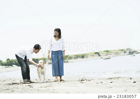 家族のポートレイト 23183057