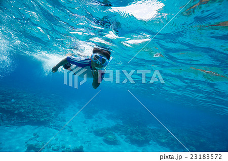小笠原の海でシュノーケリングする男の子 小笠原の海でシュノーケリングする男の子 23183572