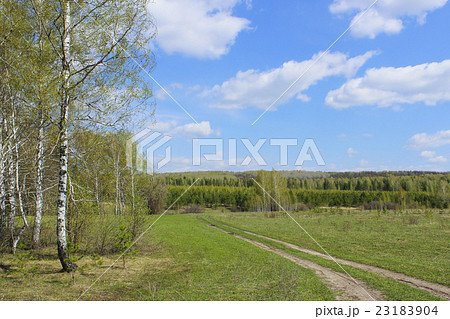 Country road 23183904