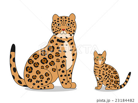 ジャガーとベンガル ジャガーとベンガル 23184482