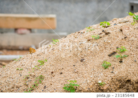 for construction work for construction work 23185648