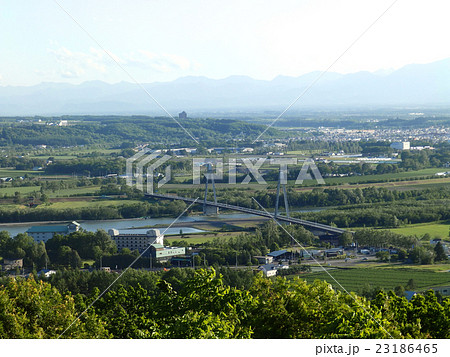 十勝が丘展望台からの景色 23186465