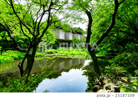 【東京都】御殿山庭園 【東京都】御殿山庭園 23187109