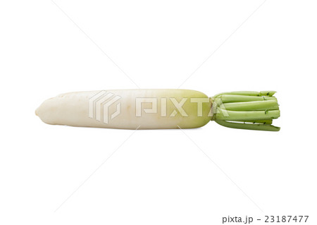 White Chinese radish isolated on white background 23187477