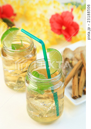 ジンジャーエール 23188506