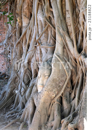 タイ　アユタヤ 23188822