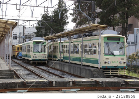 新型導入に伴い休車中の都電7000形 23188959