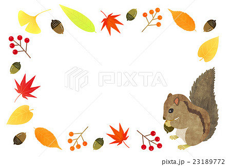 リスと落ち葉 リスと落ち葉 23189772