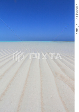 与論島の百合ヶ浜 23190967