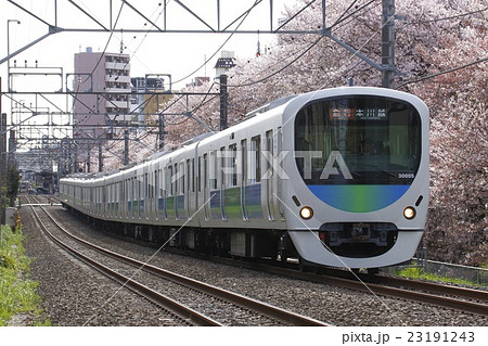 桜と西武新宿線30000系電車（急行-10両編成：西武新宿⇔本川越） 23191243
