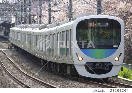 桜と西武新宿線30000系電車（急行-10両編成：西武新宿⇔本川越） 23191244