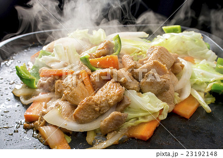 鶏ちゃん焼き 鶏ちゃん焼き 23192148