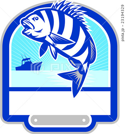 Sheepshead Fish Jumping Fishing Boat Crest Retro 23194329