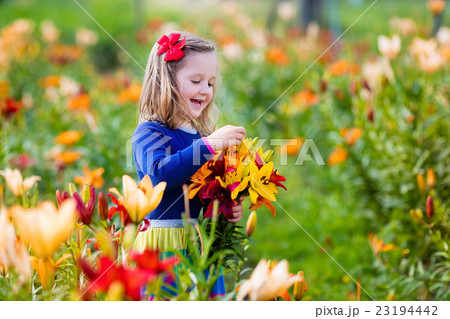 Little girl picking lilly flowers Little girl picking lilly flowers 23194442