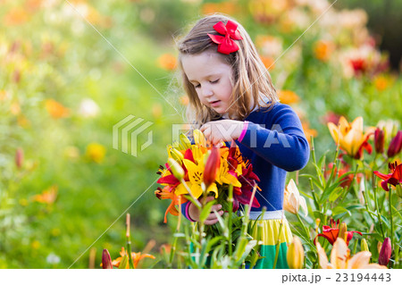 Little girl picking lilly flowers Little girl picking lilly flowers 23194443