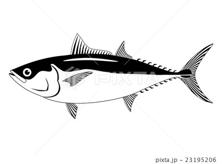 マグロのイラストのイラスト素材 マグロのイラストのイラスト素材