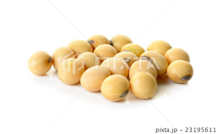 soy beans isolated on the white background 23195611