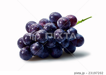 ぶどう 23197202