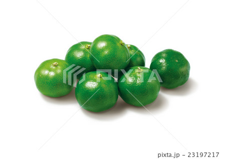 シークワーサー 23197217