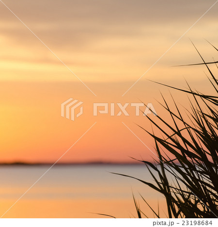 Soft colored sunset 23198684