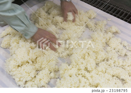 日本酒造り 日本酒造り 23198795