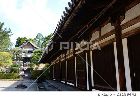 唐招提寺　礼堂・東室からの開山堂（2016.4） 23199442