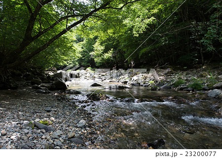 山奥 森の川の写真素材