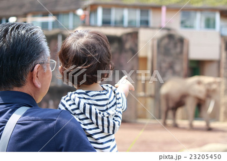 お爺ちゃんと孫(1才5カ月) お爺ちゃんと孫(1才5カ月) 23205450