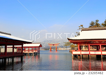 鳥居 鳥居 23205462