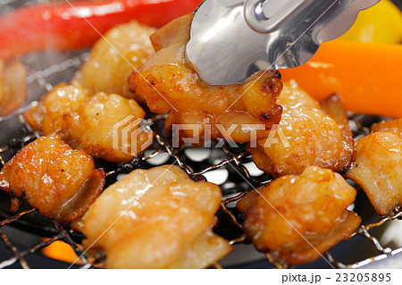 ホルモン網焼き ホルモン網焼き 23205895