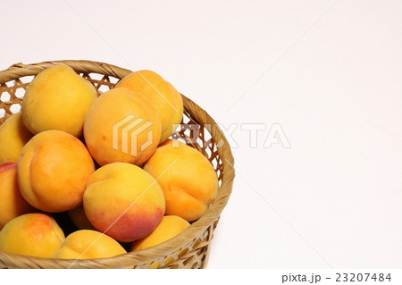 杏子 杏子 23207484