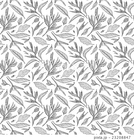 Black and White Tropical Vector Pattern Black and White Tropical Vector Pattern 23208847