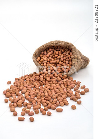 Bag full of peanuts on white background Bag full of peanuts on white background 23209321