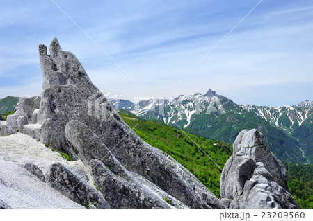 イルカ岩と北アルプス イルカ岩と北アルプス 23209560